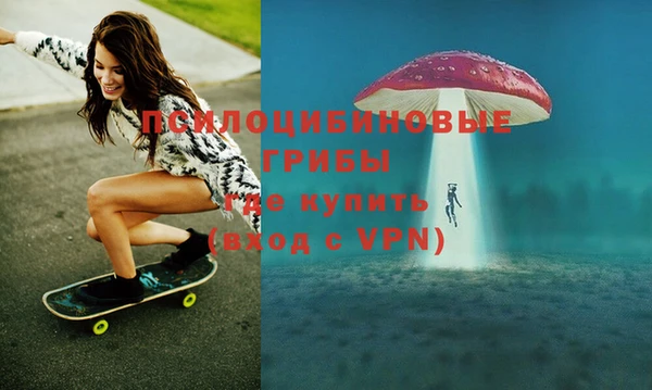 mdpv Горнозаводск
