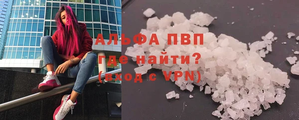 прущие грибы Вяземский